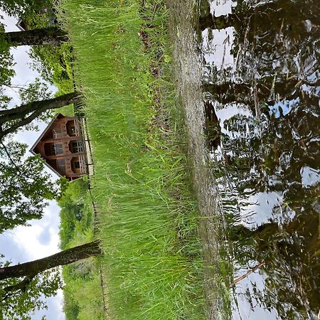 Au Bord Du Lac III Villa Montigny-en-Morvan Bagian luar foto