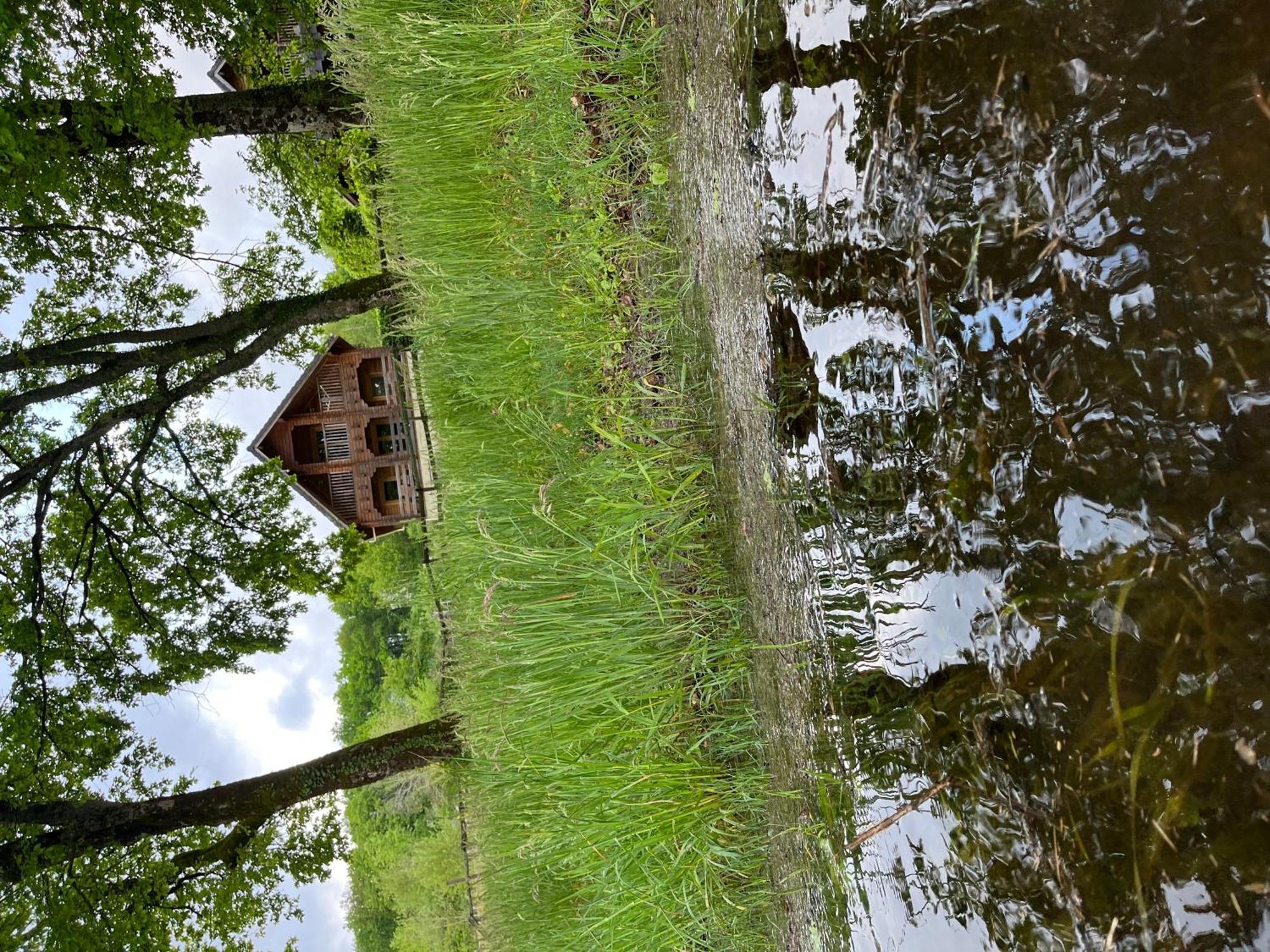 Au Bord Du Lac III Villa Montigny-en-Morvan Bagian luar foto